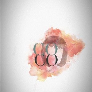 Meet your Posher, Temi